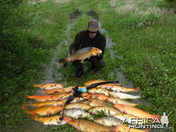 Bowfishing