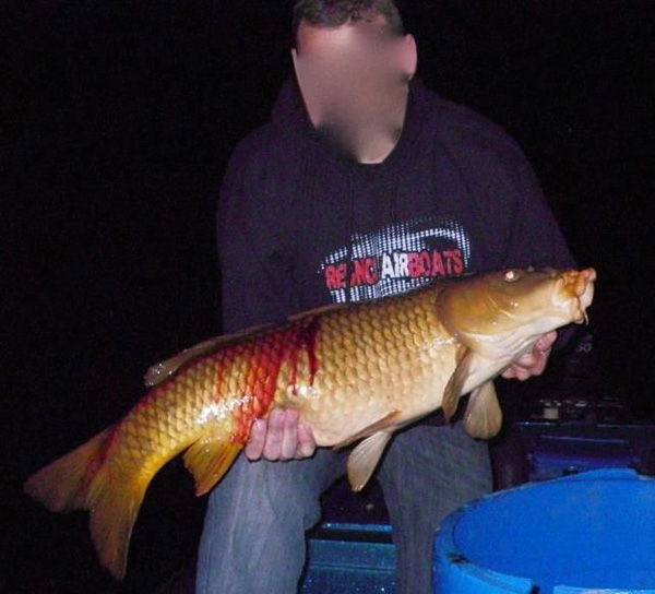 Bowfishing