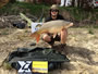 Bogdan Bucur (peg 1) with a 24.13 lb common. Lake Fork, TX
