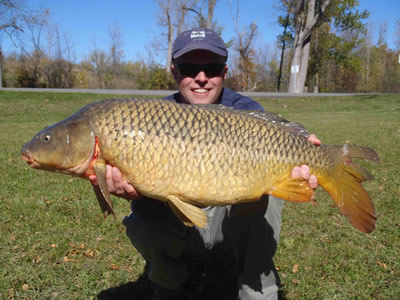 Sean Sauda with a 20 lb, 2 oz Common caught at Onondaga Lake Park in Liverpool, NY during Session 6 of Wild Carp Club