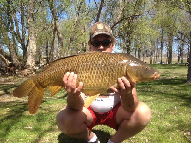 Don Knowles with a 22.8 lb common caught during session 2 of the Wild Carp Club of Central NY.