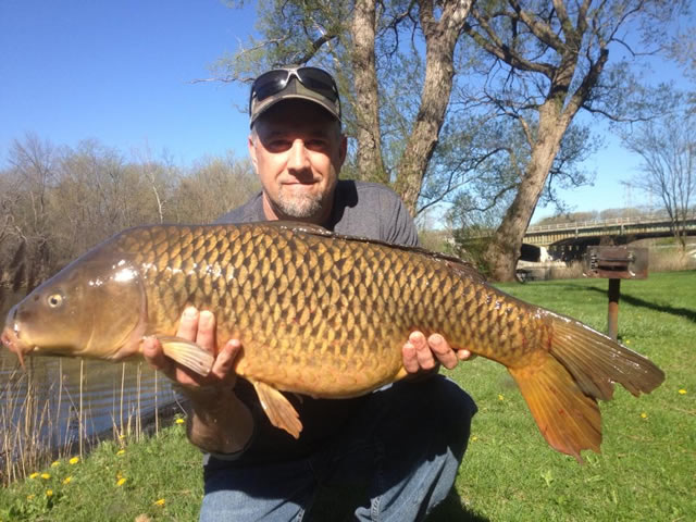 Jim Carioti with a 22.10 lb common caught during session 2 of the Wild Carp Club of Central NY.