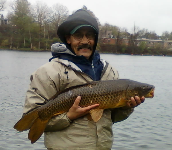 Pat Anderson with another 15+ lb common caught during session 3 of Wild Carp Club of Central NY