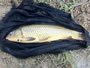 Jason Black captured the first fish of the Wild Carp Club of Houston, a 6 lb, 3oz common.