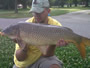 Vinny Jeffreys with another nice catch from Session 3 of the Wild Carp Club of New England.