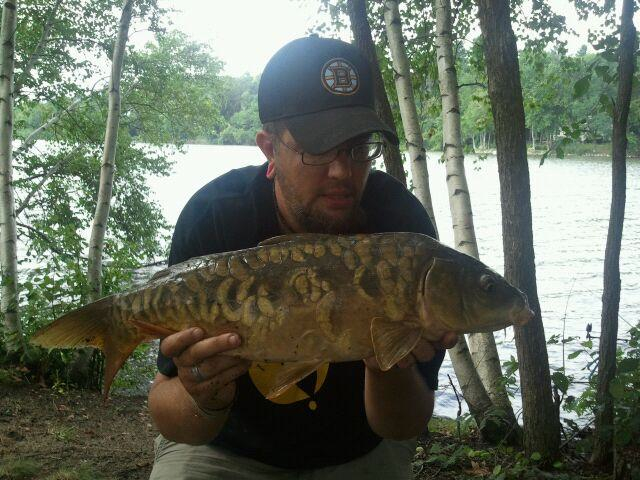 Vinny Jeffreys with an 8 lb, 0 oz mirror carp caught during sessin 4 of the 2012 season of Wild Carp Club of New England. 