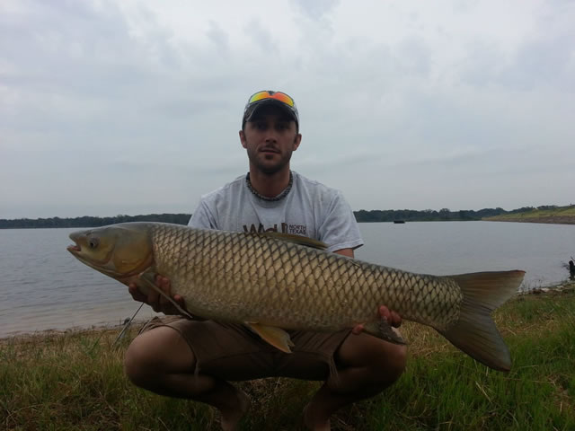 Preston Taylor with a 26.8 lb grass carp caught during session 5 of the Wild Carp Club of North Texas