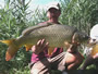 Bill Markle with a 17.5 lb common caught during Session 1 of the Fall 2011 season of Wild Carp Club of Central NY.