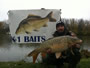 Ioan Iacob with an 18 lb, 0 oz mirror carp caught late in day 2 of the '12 Wild Carp Fall Qualifier in Baldwinsille, NY.