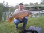 Kent Aplleby with a 23.9 lb mirror carp caught during the Sept 15 CNY Shootout event in Liverpool, NY