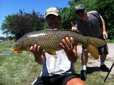 Bill Markle with a 15 lb, 12 oz common caught during the July 9 Shgootout in Fulton, NY. Kent Appleby poses in the background