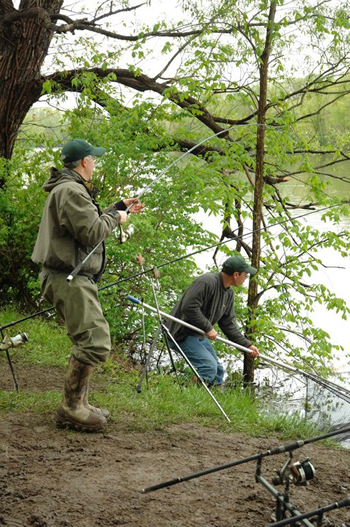 Bill Markle nets a fish for Kent Appleby during Wild Carp Week 2011.