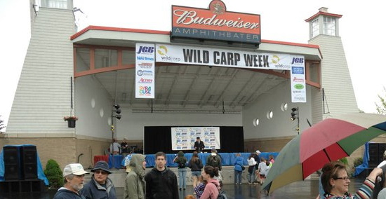 The Stage. Wild Carp Week, 2011, Baldwinsville, NY