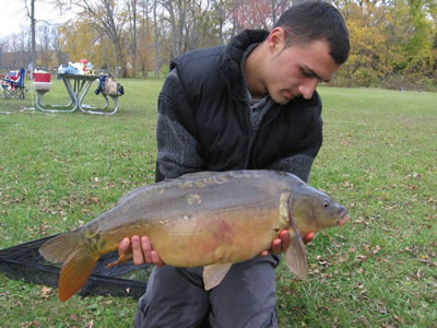 Ivan Petrov caught this 14 lb 0 oz Mirror Carp during the Wild Carp Fall Shootout