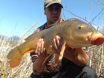 Chris Kotyk is co-director of the Wild Carp Club of Ontario, est 2013