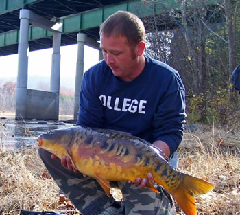 Wild Carp Club of the Virgunias Director Matt Perdue with a beautiful mirror carp